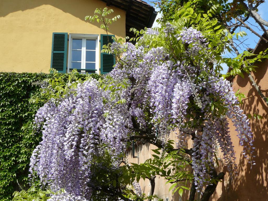 Bed and Breakfast Al Concerto San Benigno Canavese Экстерьер фото